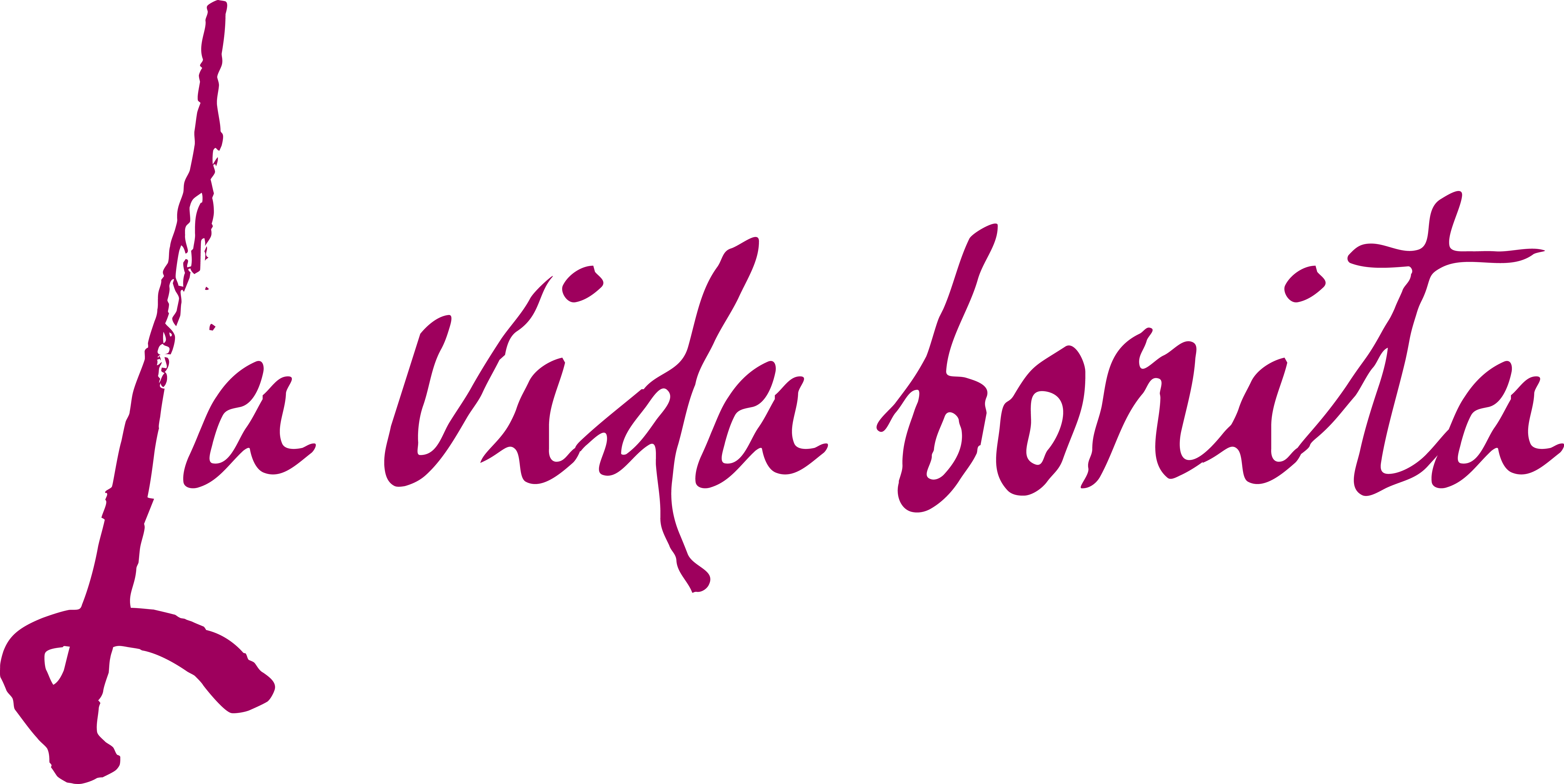 Logo nurSchrift lila Kopie